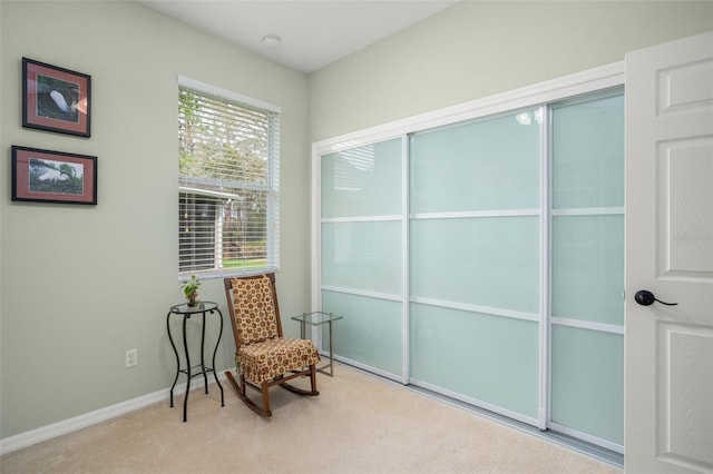 living area with carpet and baseboards