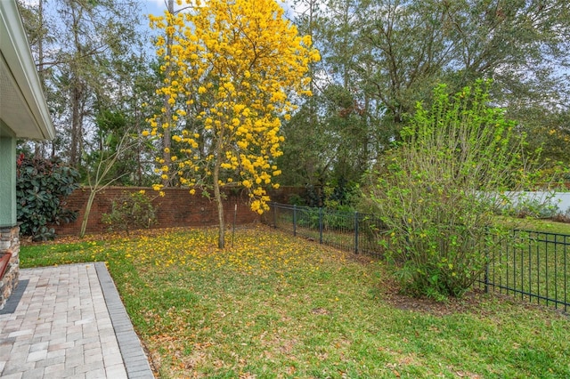 view of yard with a patio area and a fenced backyard