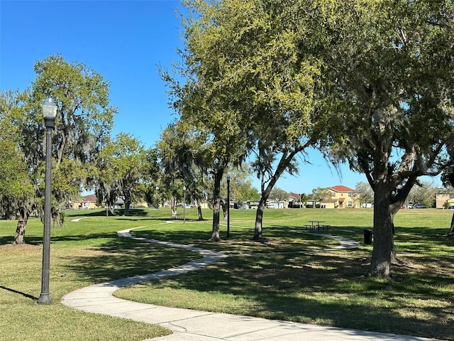 view of community with a lawn