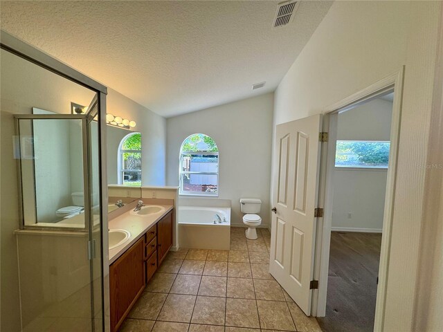 bathroom featuring toilet, lofted ceiling, a garden tub, a shower stall, and a sink