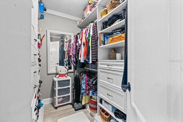 spacious closet with wood finished floors