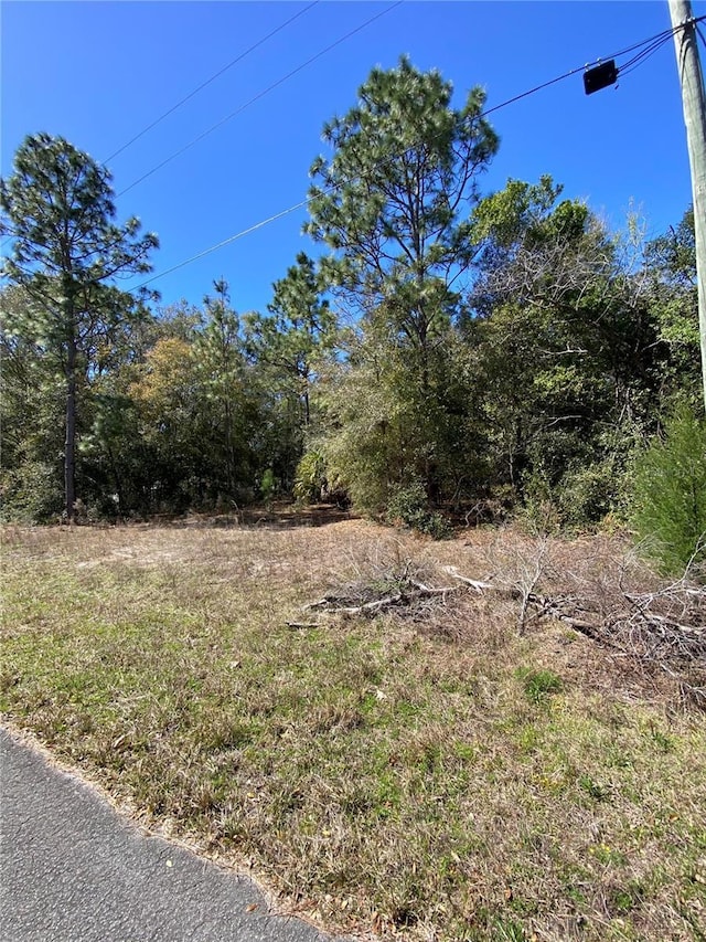 8630 N Catapane Loop, Crystal River FL, 34428 land for sale