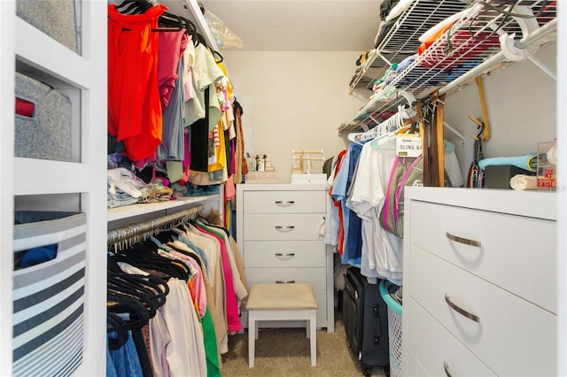 spacious closet with light carpet