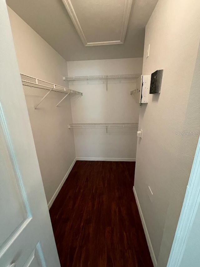 walk in closet featuring attic access and wood finished floors