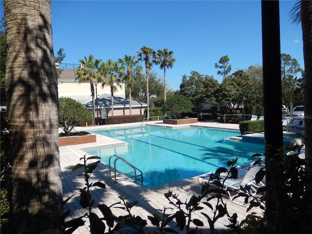 pool featuring a patio area and fence