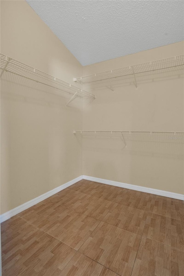 spacious closet featuring light wood finished floors