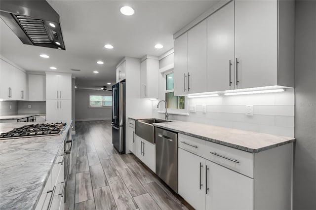 kitchen with ventilation hood, light wood-type flooring, light stone counters, stainless steel appliances, and a sink