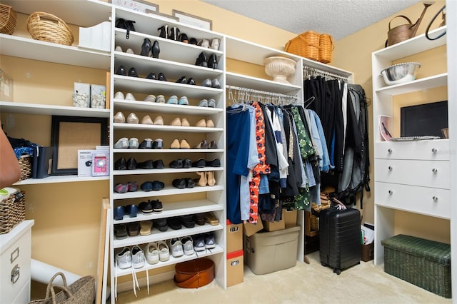 walk in closet with carpet floors