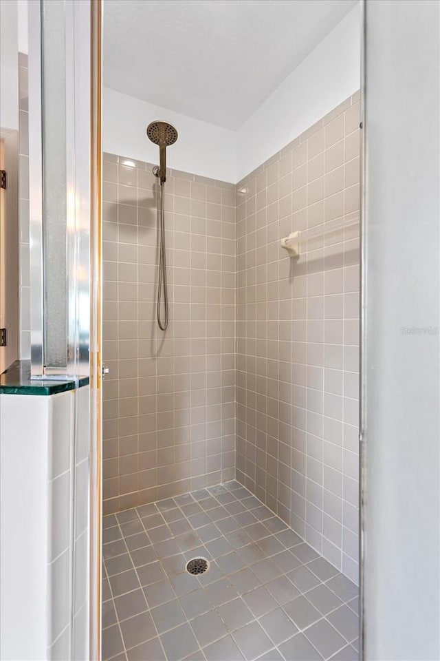 8606 Terrace Pines Ct, Orlando, FL 32836 - full bath featuring a shower stall
