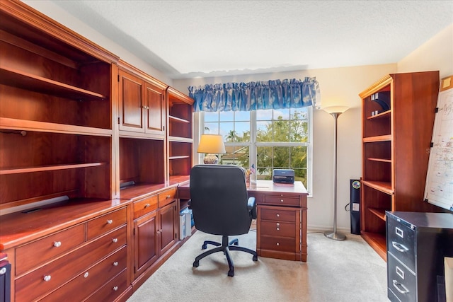 8606 Terrace Pines Ct, Orlando, FL 32836 - office featuring light carpet and a textured ceiling