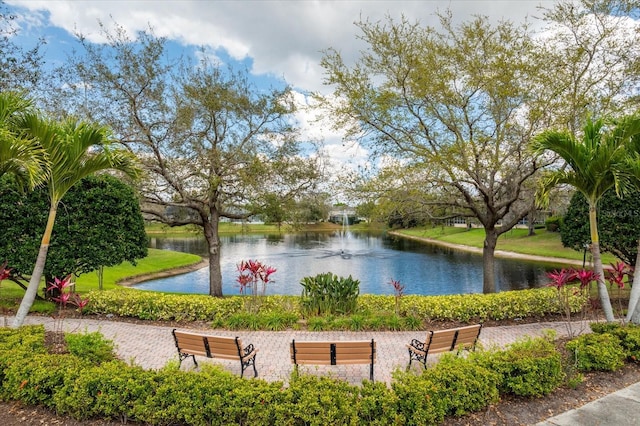 8606 Terrace Pines Ct, Orlando, FL 32836 - view of property's community featuring a water view
