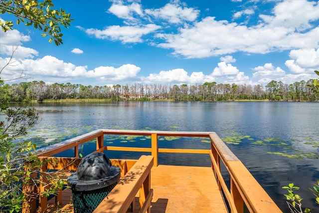 8606 Terrace Pines Ct, Orlando, FL 32836 - dock area featuring a water view