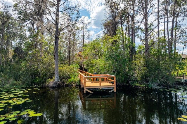 8606 Terrace Pines Ct, Orlando, FL 32836 - dock area featuring a water view