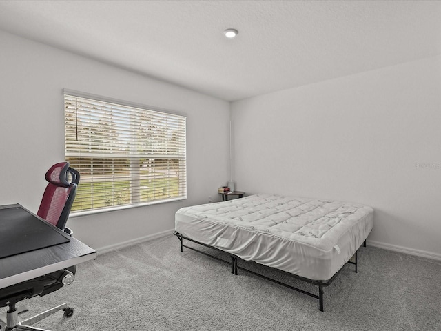 2925 SW 172nd Lane Rd, Ocala, FL 34473 - bedroom featuring carpet and baseboards