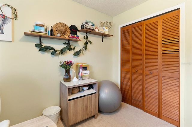 interior space featuring light carpet and a textured ceiling