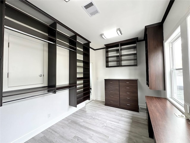 3025 W N A St, Tampa, FL 33609 - spacious closet with visible vents and light wood-style floors