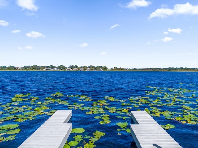 dock area with a water view