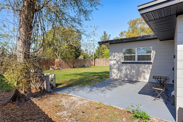 view of yard featuring a fenced backyard and a patio