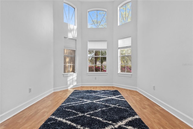 interior space with a high ceiling, baseboards, and wood finished floors