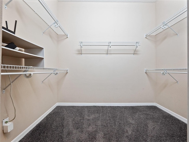 walk in closet with carpet floors