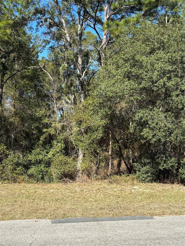 Listing photo 2 for Lot5 Sw 138 Street Road, Ocala FL 34473