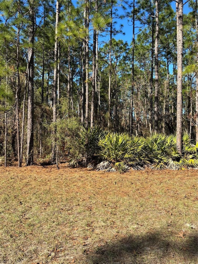 Listing photo 3 for Lot5 Sw 138 Street Road, Ocala FL 34473