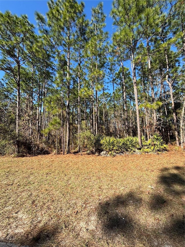 LOT5 SW 138 Street Rd, Ocala, FL 34473 - photo 4