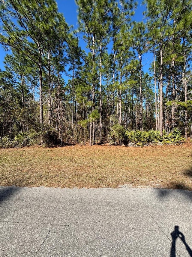LOT5 SW 138 Street Rd, Ocala, FL 34473 - photo 5
