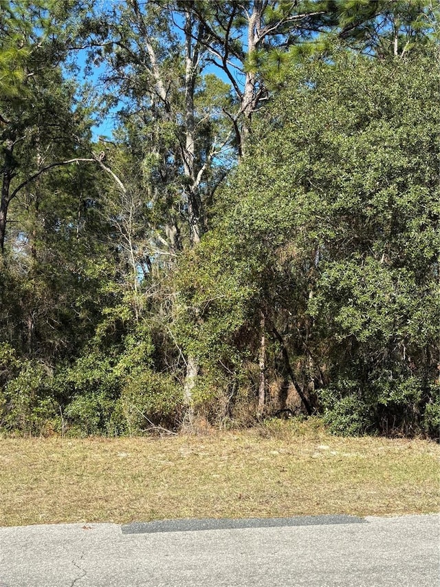 LOT5 SW 138 Street Rd, Ocala, FL 34473 - photo 7