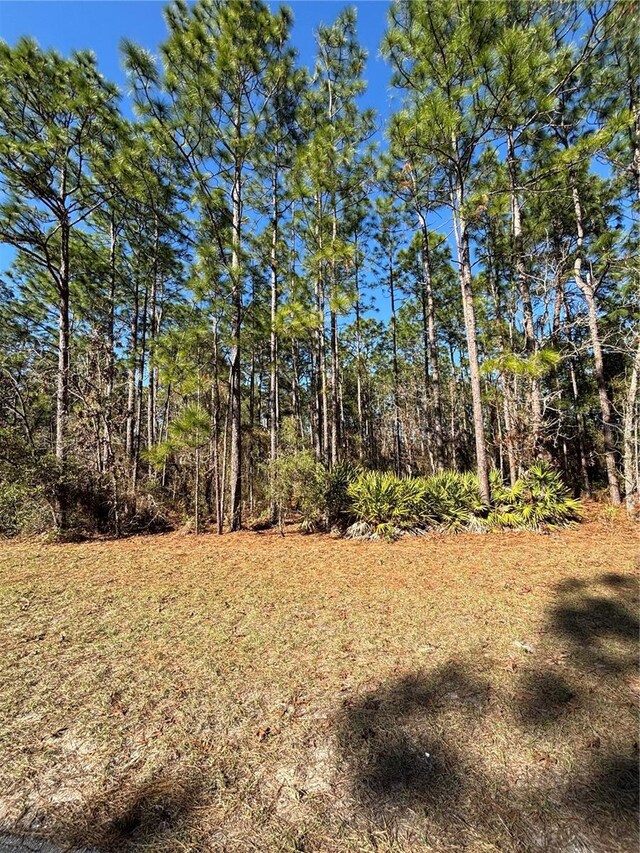 LOT6 SW 138th Street Rd, Ocala, FL 34473