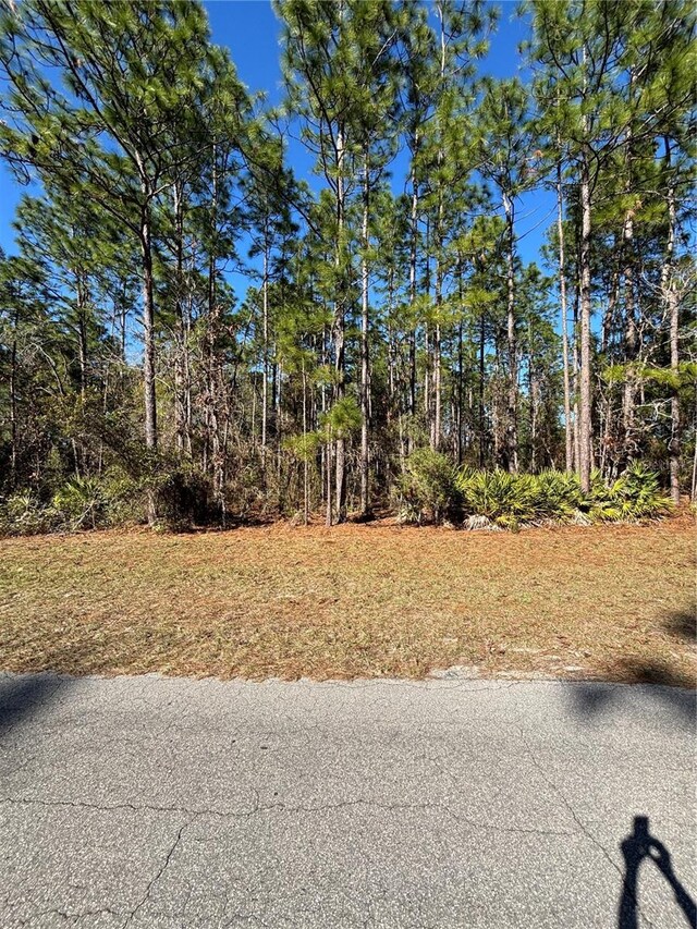 LOT6 SW 138th Street Rd, Ocala, FL 34473