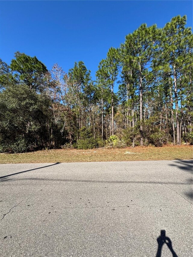 LOT6 SW 138th Street Rd, Ocala, FL 34473