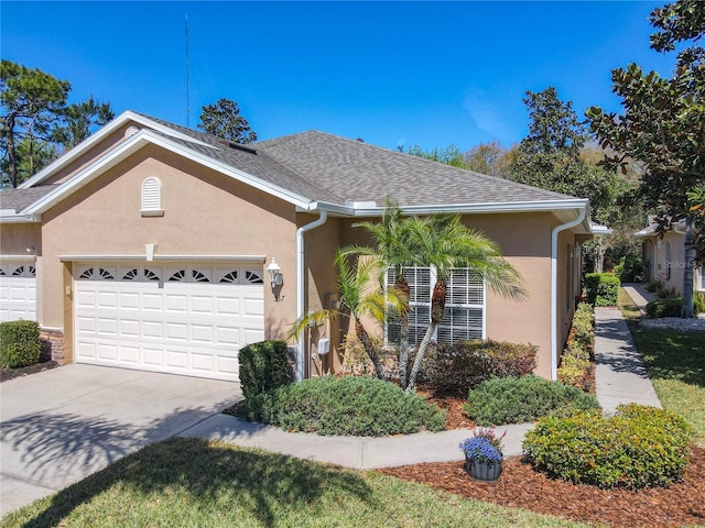 ranch-style home with driveway, a shingled roof, an attached garage, and stucco siding