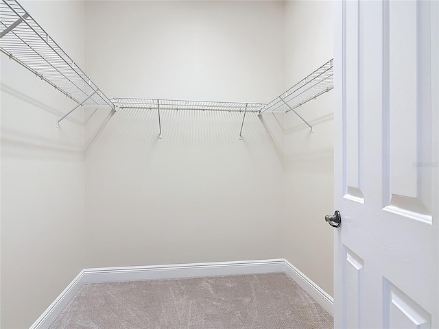 spacious closet featuring carpet floors