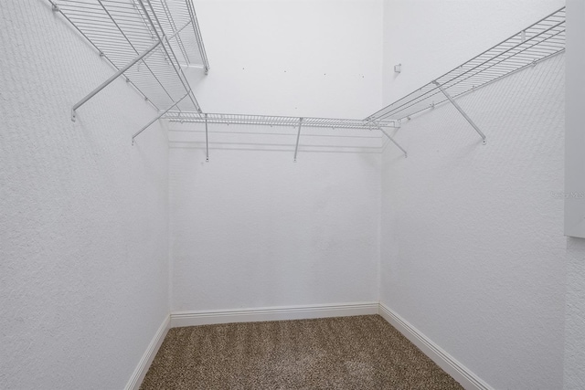 walk in closet featuring carpet floors