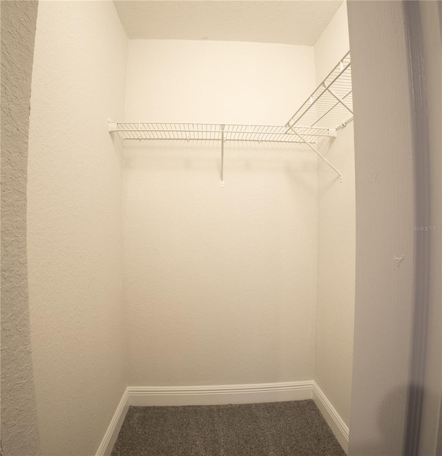 spacious closet with carpet