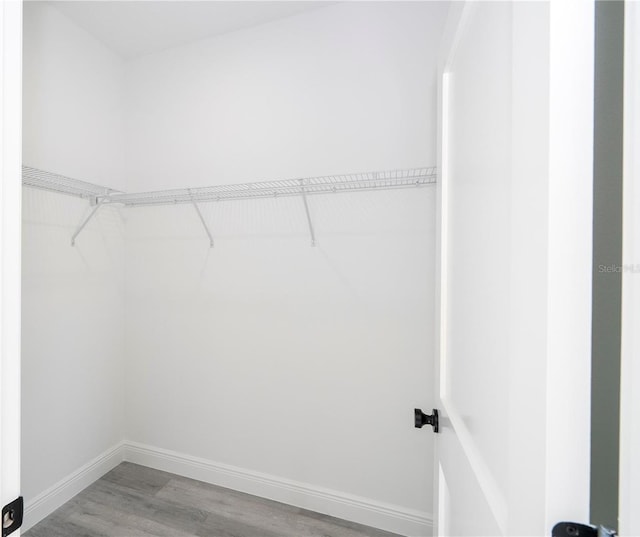 walk in closet featuring wood finished floors