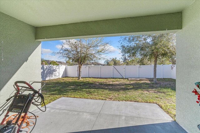 view of patio with a fenced backyard and a gate