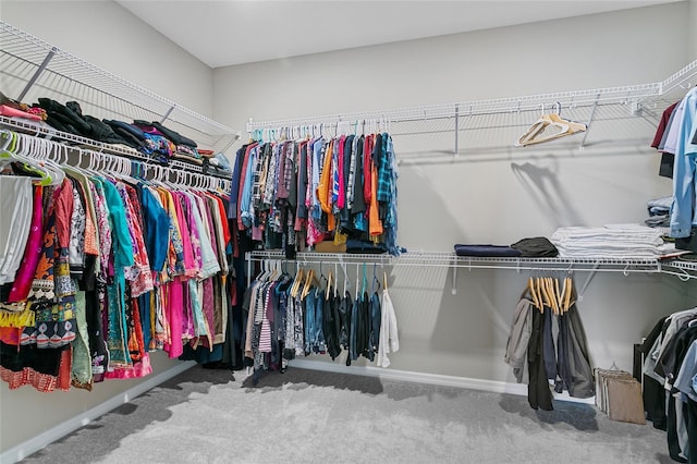 spacious closet with carpet