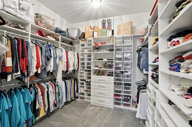 walk in closet featuring carpet