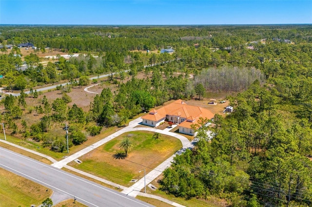 6005 Bancroft Blvd, Orlando, FL 32833 - bird's eye view of a forest