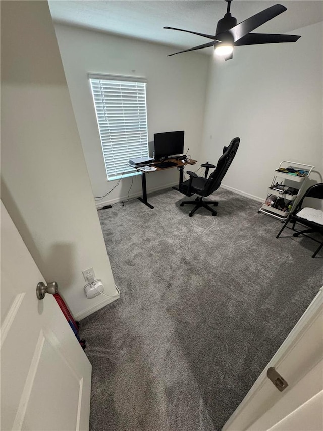 office with a ceiling fan, carpet, and baseboards