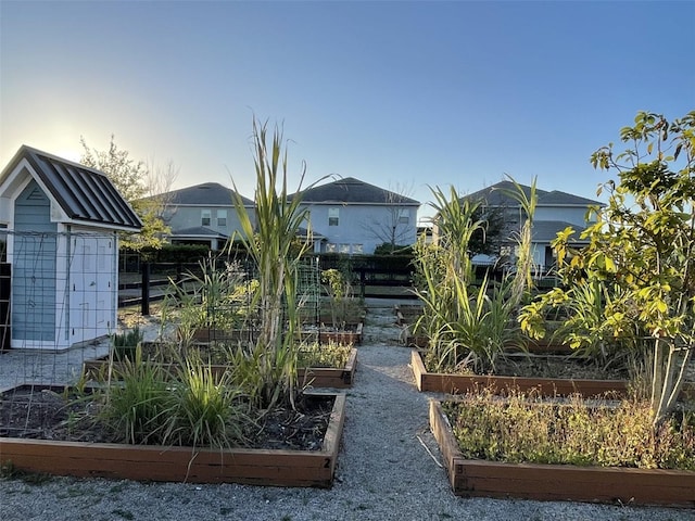 view of yard with a garden