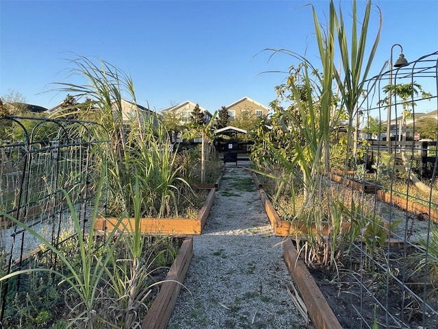 view of yard featuring a garden