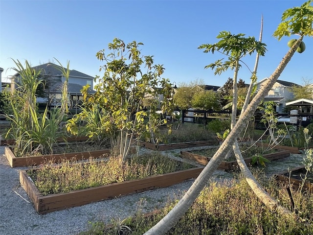 view of yard with a garden