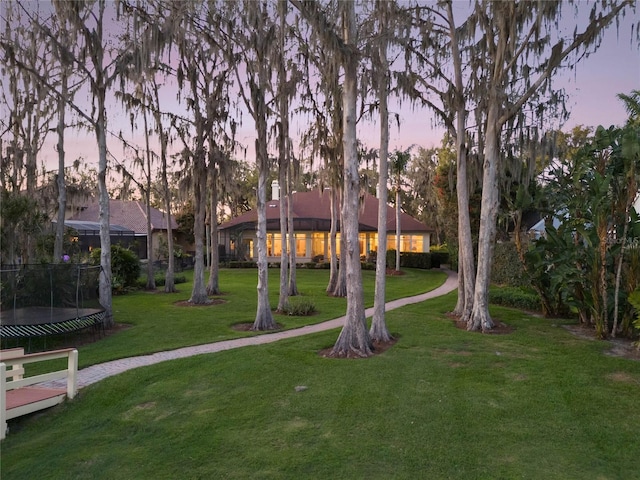 view of yard with a trampoline