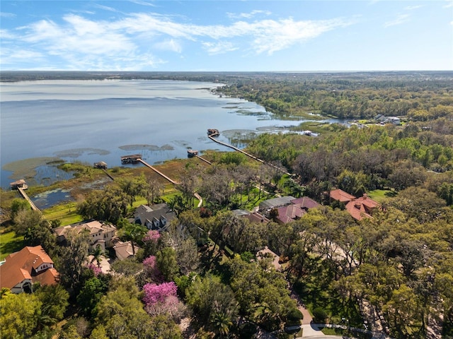 birds eye view of property with a water view and a view of trees