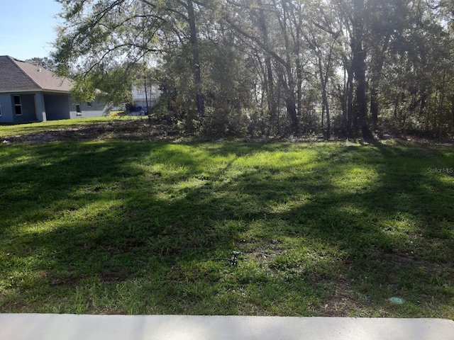 view of yard