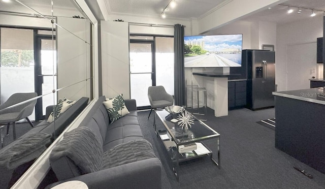 living area featuring carpet, plenty of natural light, and track lighting