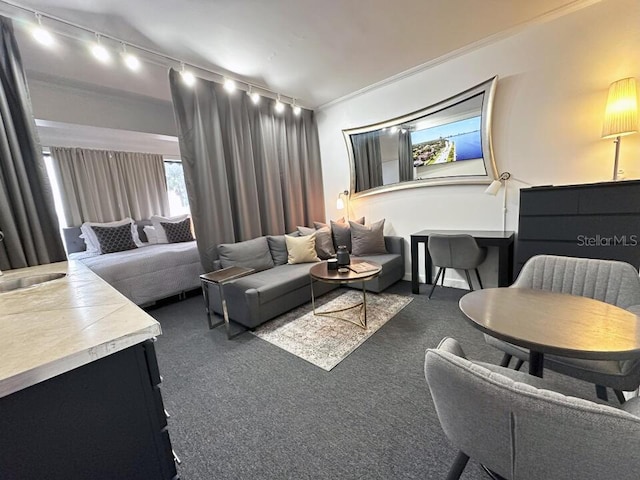 interior space featuring carpet, track lighting, and crown molding